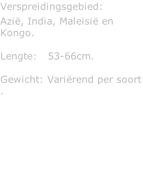 Verspreidingsgebied:  Azië, India, Maleisië en Kongo.  Lengte:   53-66cm.  Gewicht: Variërend per soort .