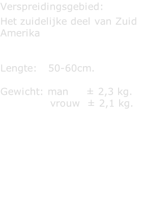 Verspreidingsgebied:  Het zuidelijke deel van Zuid Amerika   Lengte:   50-60cm.  Gewicht: man     ± 2,3 kg.               vrouw  ± 2,1 kg.