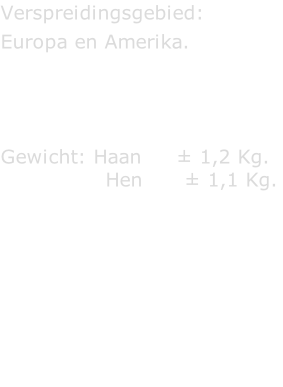 Verspreidingsgebied:  Europa en Amerika.     Gewicht: Haan     ± 1,2 Kg.                Hen      ± 1,1 Kg.