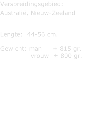 Verspreidingsgebied:   Australië, Nieuw-Zeeland   Lengte:  44-56 cm.  Gewicht: man     ± 815 gr.                vrouw  ± 800 gr.