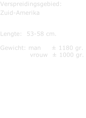 Verspreidingsgebied:   Zuid-Amerika   Lengte:  53-58 cm.  Gewicht: man     ± 1180 gr.                vrouw  ± 1000 gr.