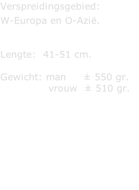 Verspreidingsgebied:   W-Europa en O-Azië.   Lengte:  41-51 cm.  Gewicht: man     ± 550 gr.                vrouw  ± 510 gr.