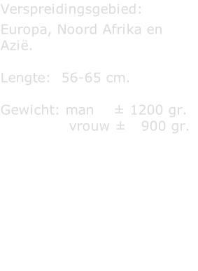 Verspreidingsgebied:  Europa, Noord Afrika en Azië.  Lengte:  56-65 cm.  Gewicht: man    ± 1200 gr.                vrouw ±   900 gr.