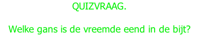 QUIZVRAAG.  Welke gans is de vreemde eend in de bijt?